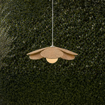 Outdoor Pendants