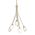 Hubbardton Forge, Flora 6 Arm Chandelier, CHANDELIER LIGHT