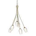 Hubbardton Forge, Flora 6 Arm Chandelier, CHANDELIER LIGHT