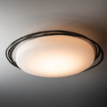 Hubbardton Forge, Nova LED Flush Mount, FLUSH MOUNT CEILING LIGHTS