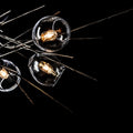 Hubbardton Forge, Griffin Pendant, PENDANT LIGHT
