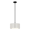 Hubbardton Forge, Exos Single Shade Pendant, PENDANT LIGHT