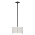 Hubbardton Forge, Exos Single Shade Pendant, PENDANT LIGHT