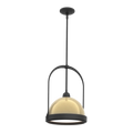 Hubbardton Forge, Atlas Pendant, PENDANT LIGHT