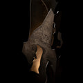 Hubbardton Forge, Fracture Lamp, FLOOR LAMP