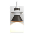 Hubbardton Forge, Erlenmeyer Sky Friendly Outdoor Sconce, OUTDOOR WALL LIGHTS