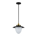 ARTCRAFT, DAHLIA PENDANT, PENDANT LIGHT