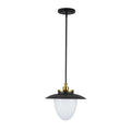 ARTCRAFT, DAHLIA PENDANT, PENDANT LIGHT