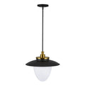 ARTCRAFT, DAHLIA PENDANT, PENDANT LIGHT