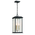 ARTCRAFT, ESTATE OUTDOOR PENDANT, OUTDOOR CEILING LIGHT