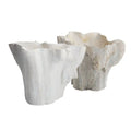 ARTERIORS NANTUCKET CENTERPIECE - Decorative Accents