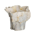 ARTERIORS NANTUCKET CENTERPIECE - Decorative Accents