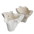 ARTERIORS NANTUCKET CENTERPIECE - Decorative Accents