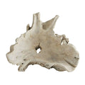 ARTERIORS NANTUCKET CENTERPIECE - Decorative Accents