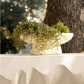 ARTERIORS CHELSEA CENTERPIECE - Decorative Accents