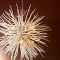 ARTERIORS, FINCH CHANDELIER, CHANDELIER LIGHT