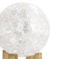 ARTERIORS MACARTHUR SCULPTURES - Decorative Accents