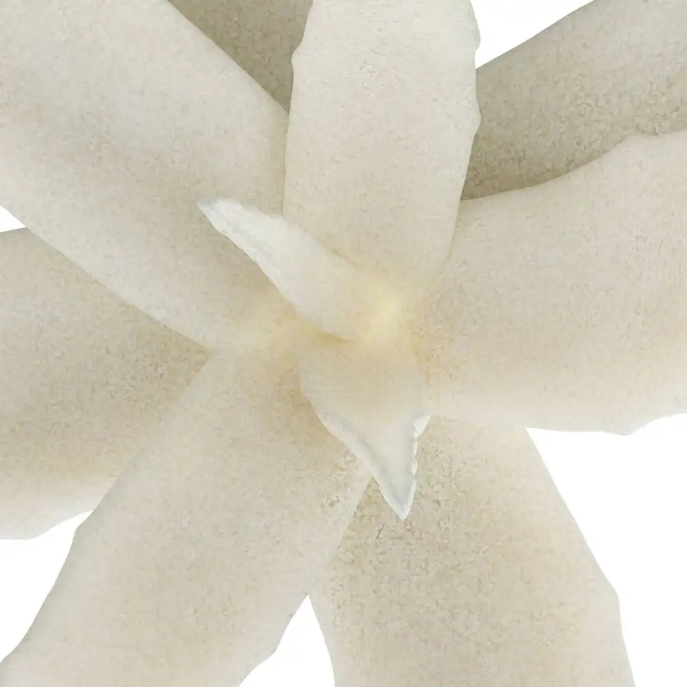ARTERIORS ZALOE SCULPTURE - Decorative Accents