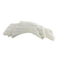 ARTERIORS CARNEGIE SCULPTURE - Decorative Accents