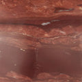 ARTERIORS EDEN SCULPTURE - Decorative Accents