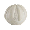ARTERIORS FAYE SCULPTURES - Decorative Accents