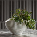 ARTERIORS CARUSO CENTERPIECE - Decorative Accents