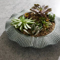 ARTERIORS ESCADA PLANTER - Decorative Accents