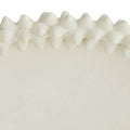 ARTERIORS GRAWLER CENTERPIECE - Decorative Accents