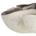 ARTERIORS FRONTERA CENTERPIECE - Decorative Accents