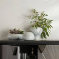 ARTERIORS DANDY VASES - Decorative Accents