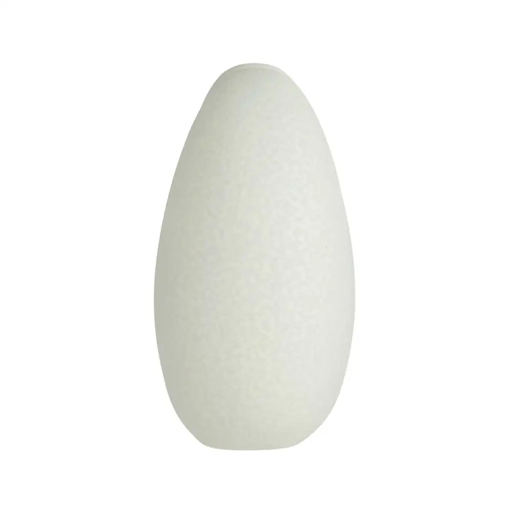 ARTERIORS GENOVIA VASE - Decorative Accents