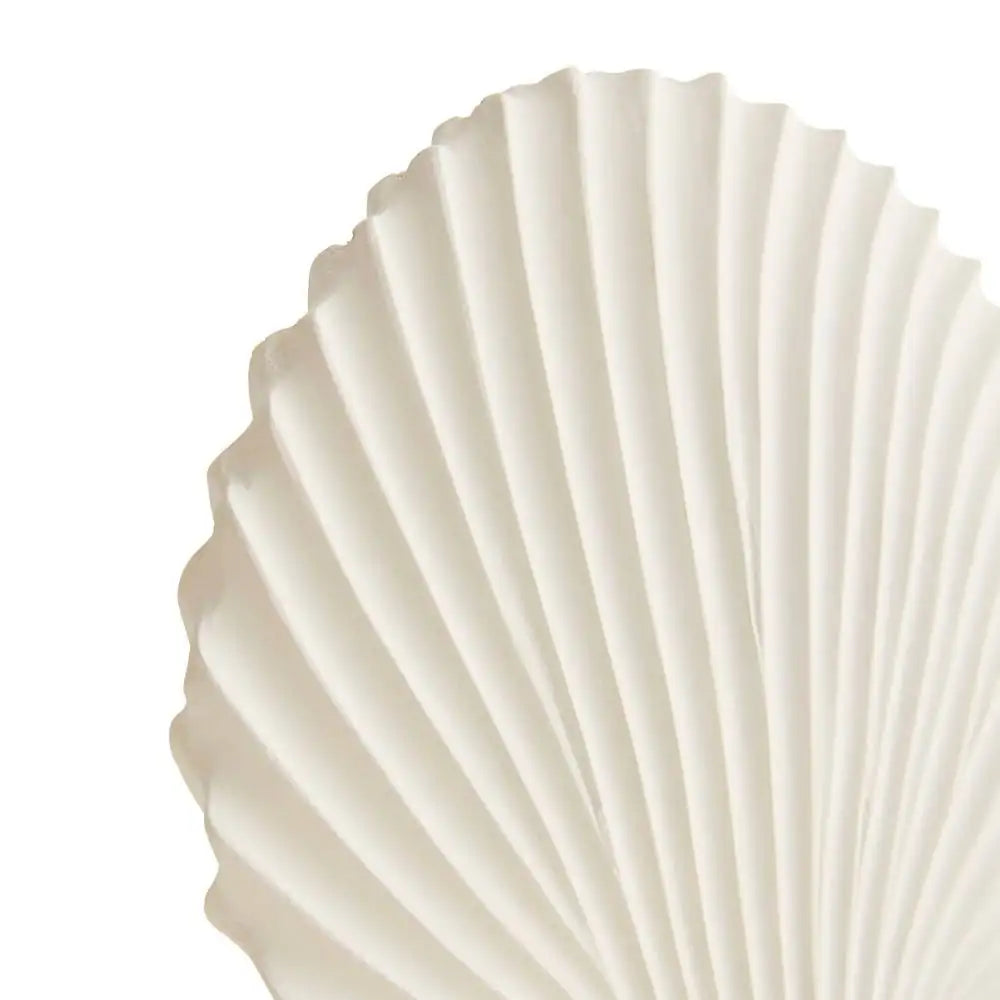ARTERIORS SHELL SCULPTURES - Decorative Accents