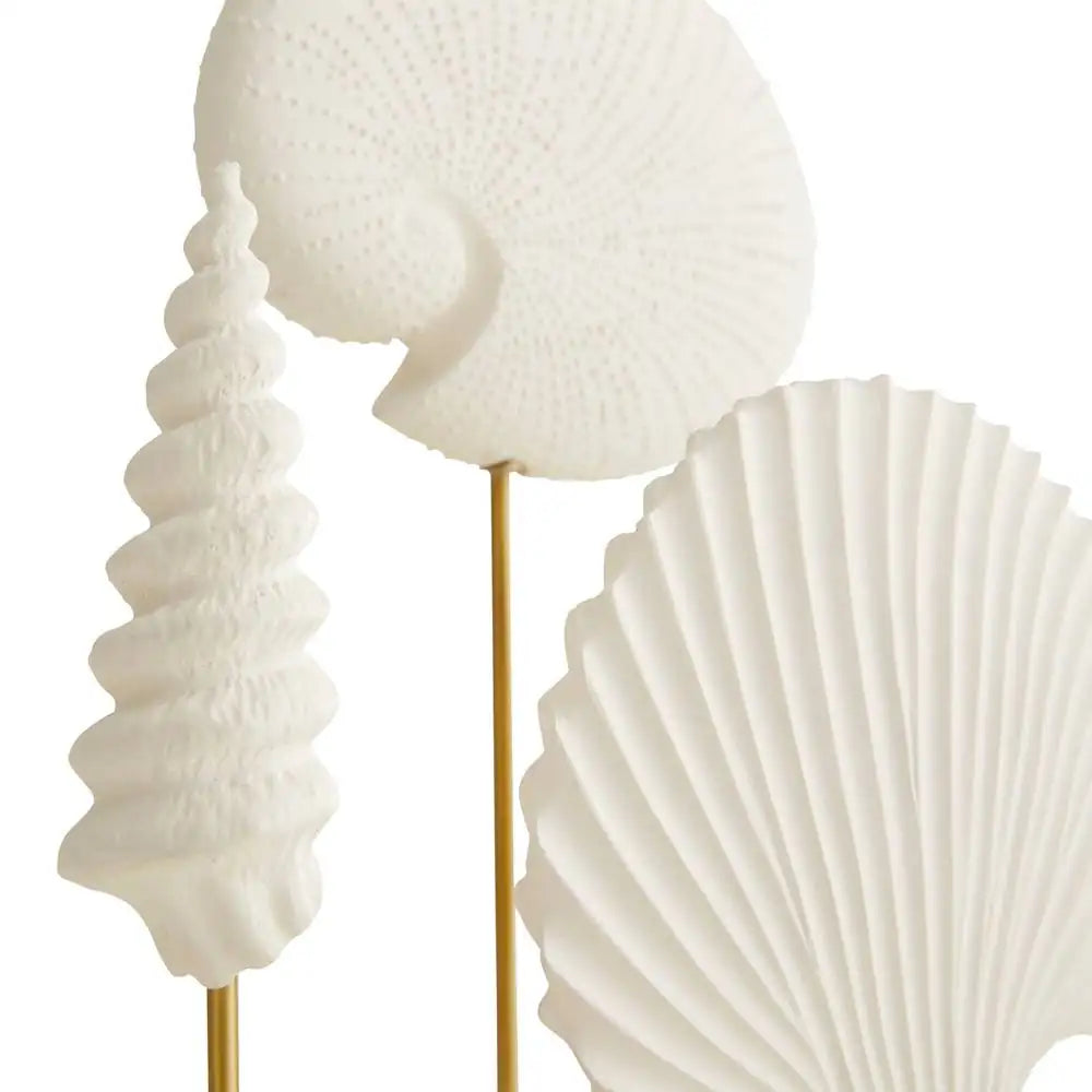 ARTERIORS SHELL SCULPTURES - Decorative Accents