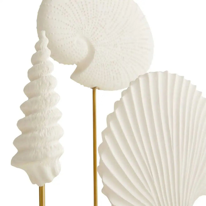 ARTERIORS SHELL SCULPTURES - Decorative Accents