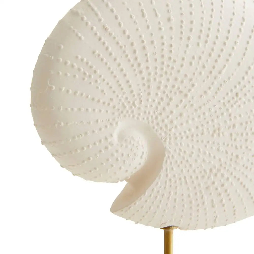 ARTERIORS SHELL SCULPTURES - Decorative Accents