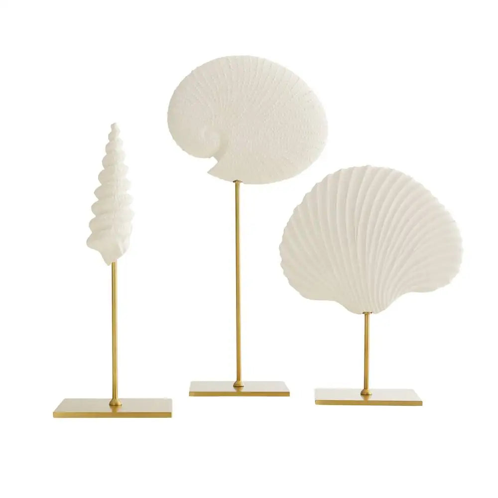 ARTERIORS SHELL SCULPTURES - Decorative Accents