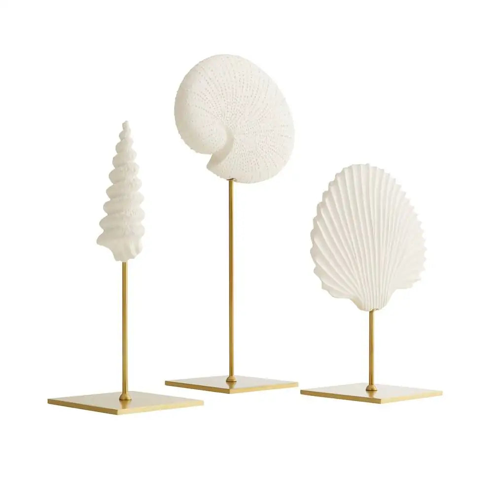 ARTERIORS SHELL SCULPTURES - Decorative Accents