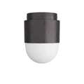 ARTERIORS, ALLENTOWN FLUSH MOUNT, FLUSH MOUNT CEILING LIGHTS