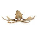 ARTERIORS, FARAH FLUSH MOUNT, FLUSH MOUNT CEILING LIGHTS
