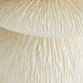 ARTERIORS FELICIA OUTDOOR END TABLE - Side