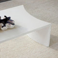 ARTERIORS HANEY OUTDOOR COFFEE TABLE - Side