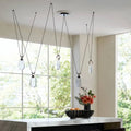 ARTERIORS, MELT CHANDELIER, CHANDELIER LIGHT