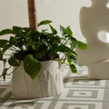 ARTERIORS FEATHER CENTERPIECE - Decorative Accents