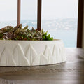 ARTERIORS FEATHER CENTERPIECE - Decorative Accents