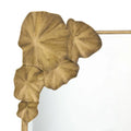 ARTERIORS, ISMERIE MIRROR, MIRRORS