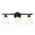 HOMEPLACE LIGHTING, JAMESON VANITY, VANITY LIGHT