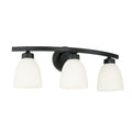 HOMEPLACE LIGHTING, JAMESON VANITY, VANITY LIGHT