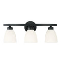 CAPITAL LIGHTING, JAMESON VANITY, VANITY LIGHT