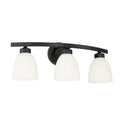 CAPITAL LIGHTING, JAMESON VANITY, VANITY LIGHT