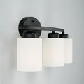 CAPITAL LIGHTING, DIXON VANITY, VANITY LIGHT